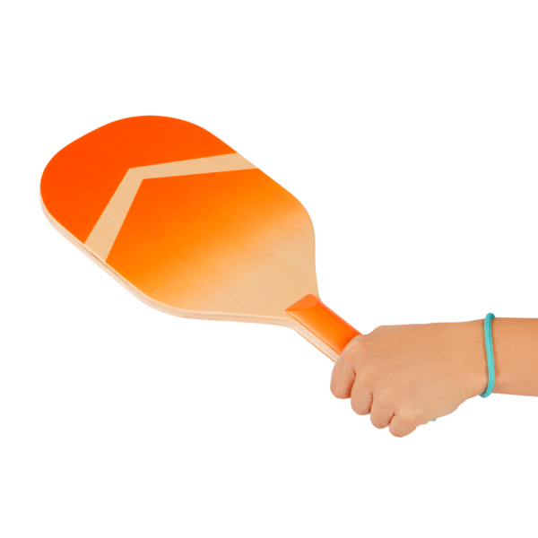 Pickleball Set