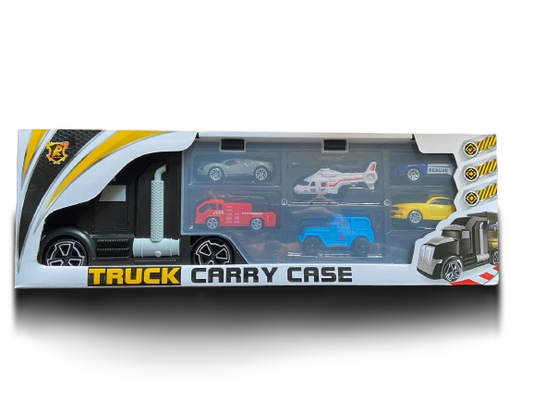 Truck carry case
