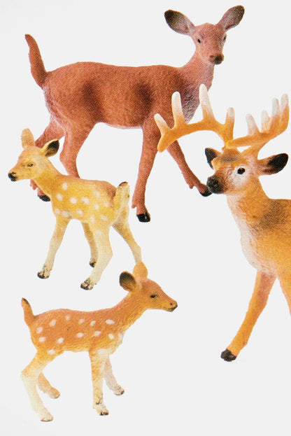 Deer Family