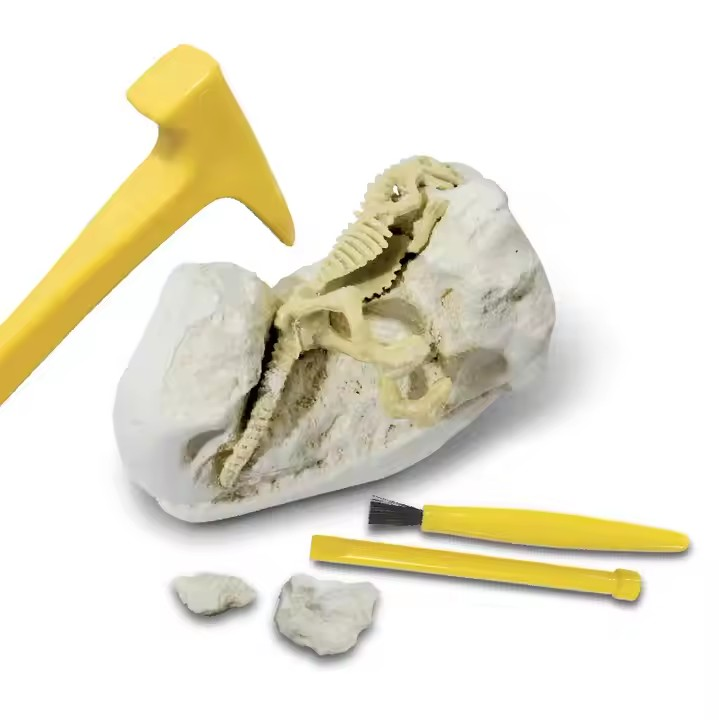 Dinosaur Dig Kits