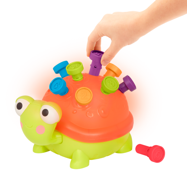 TEACHING TURTLE