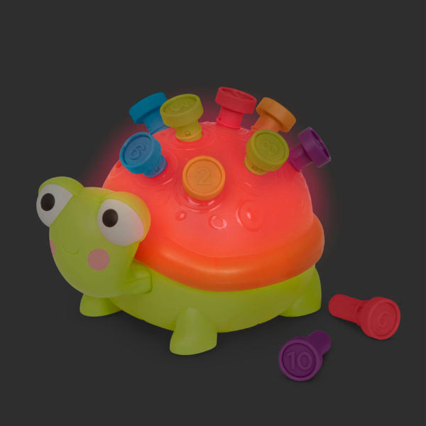TEACHING TURTLE