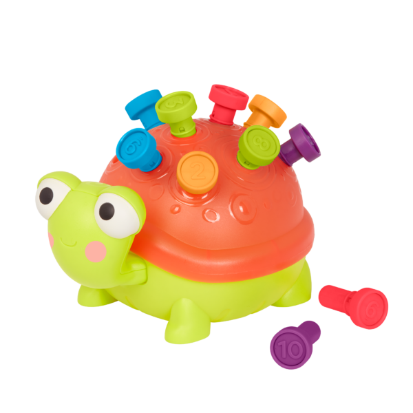 TEACHING TURTLE