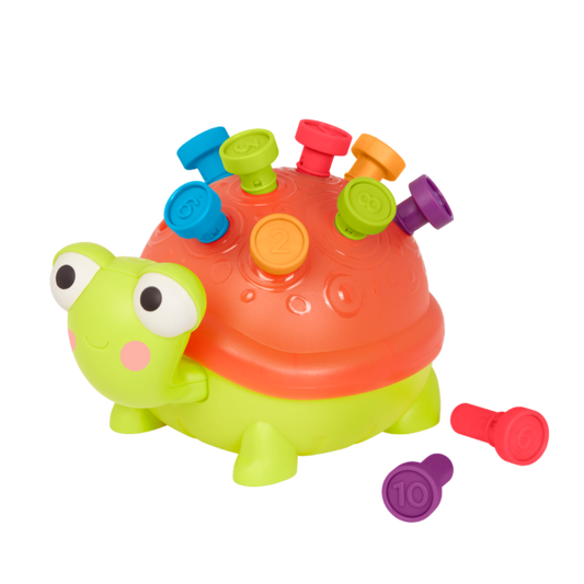 TEACHING TURTLE