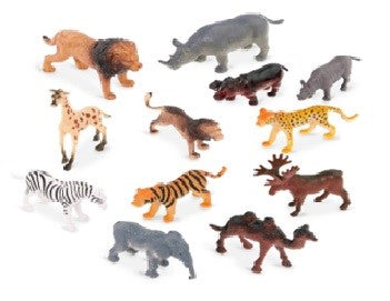 Wildlife Animals