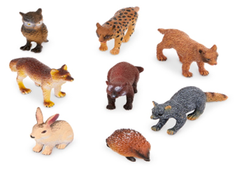 Forest Animals